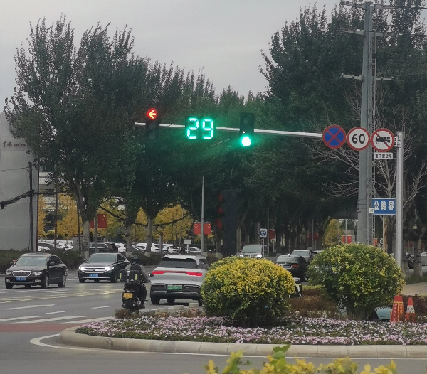 山东信号灯项目